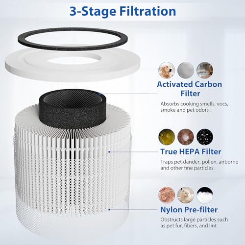 Core 300 Replacement Filter for LEVOIT Air Purifiers - 3-in-1 H13 True HEPA Filter, 2 Pack (White)