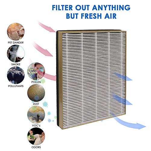 Flintar TT-AP002 Replacement Filter for Tao Tronics and VAVA Air Purifiers, 3-in-1 H13 Grade, 2-Pack  
Flintar TT-AP002 